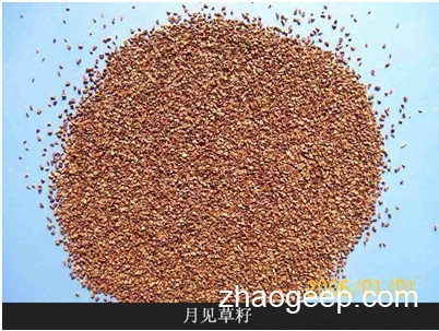 兆格分享：液壓榨油機(jī)制取月見草油工藝