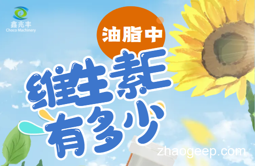 兆格分享：全自動(dòng)液壓榨油機(jī) 維生素E是什么？什么食用油含維生素E高？