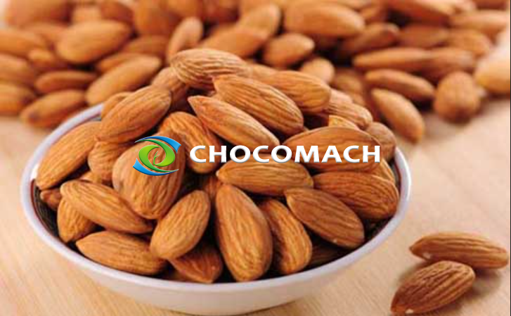 苦杏仁(杏仁油):藥食同源的寶藏種子