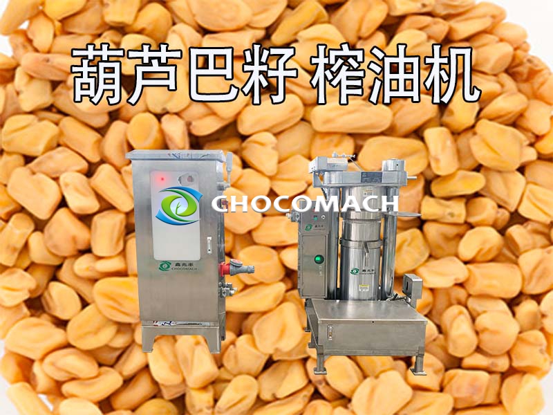 液壓榨油機(jī)壓榨葫蘆巴籽油